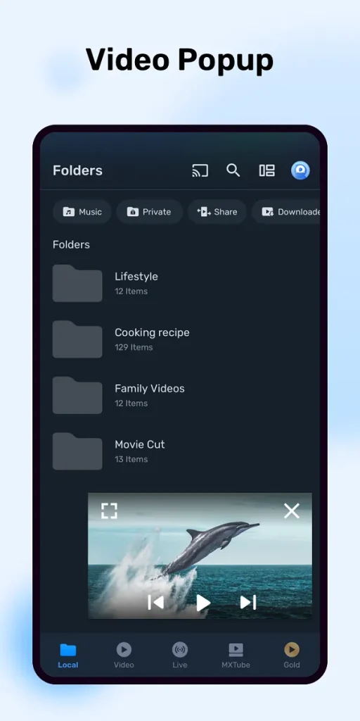 MX Player Mod APK premium unlocked