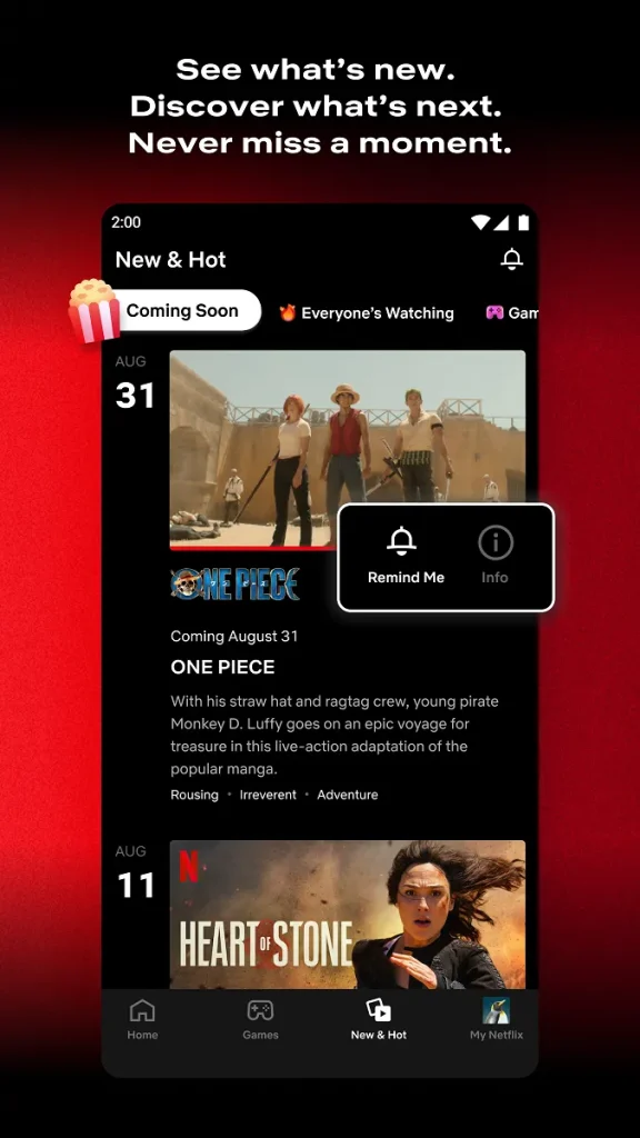 Netflix Mod APK