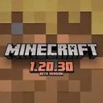 Minecraft 1.20.30 icon