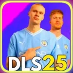 Dream League Soccer 2025 icon