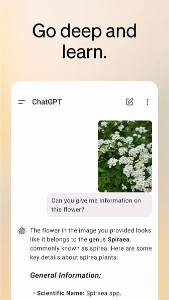 Chat GPT Mod APK Pro Unlimited Chat