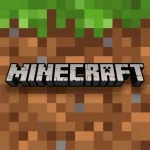 Minecraft 1.16.5 icon